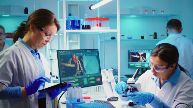 Training and Skills Needed to Become a Successful Clinical Engineer
